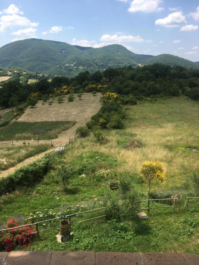 Casale Flaminia Bed and Breakfast Spoleto Buitenkant foto