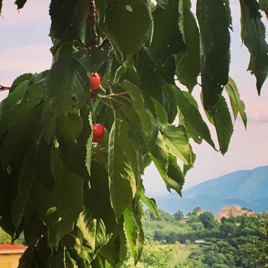 Casale Flaminia Bed and Breakfast Spoleto Buitenkant foto